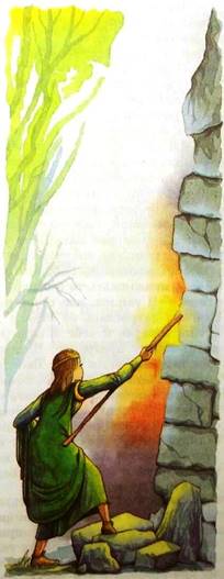 Дочь Гингемы. Заколдованный лес. Бесконечная стена