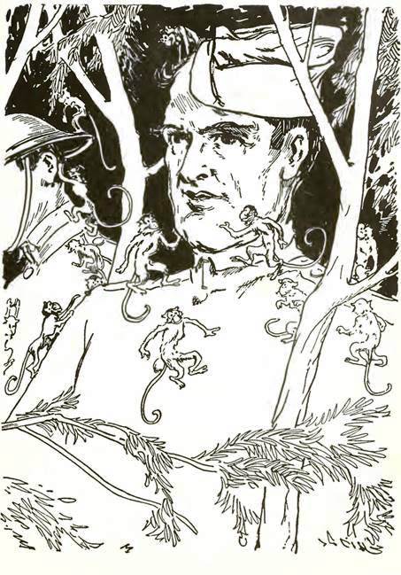 Волшебство Страны Оз. Стеклянный Кот находит черный чемоданчик