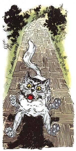 Лоскутушка из Страны Оз. Косматый спешит на помощь