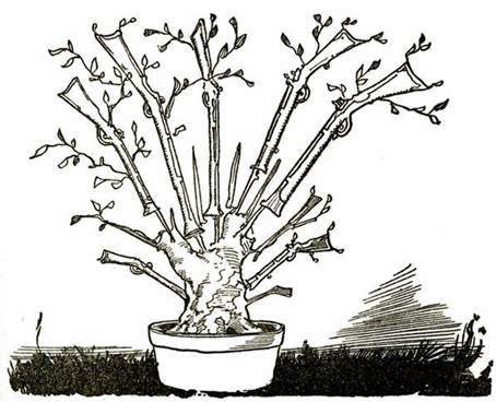 Тик-Ток из Страны Оз Армия Анны