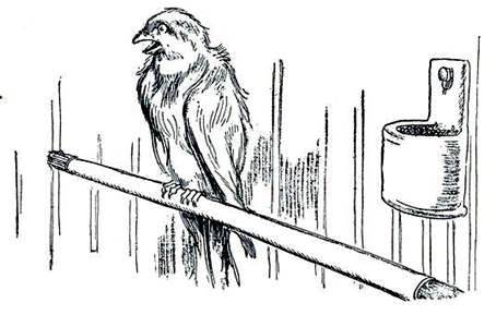 Железный Дровосек из Страны Оз Волшебство Юкуку