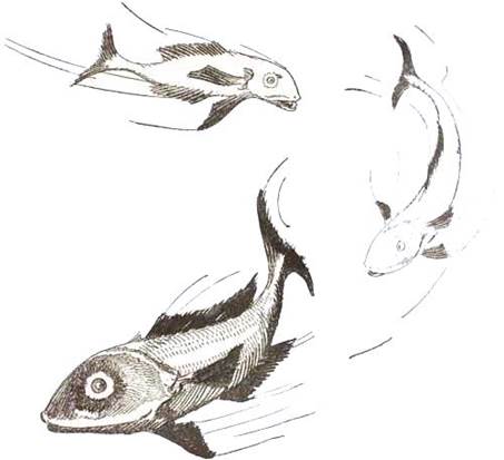 Глинда из Страны Оз Леди Аура