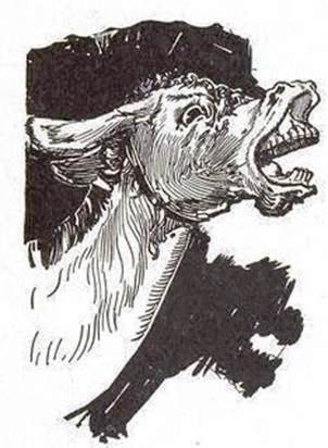 Лоскутушка из Страны Оз Глупая Сова и Мудрый Осел