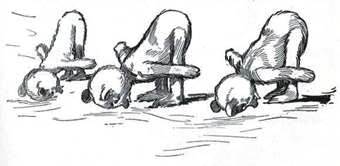 Пропавшая Принцесса Страны Оз Плюшевый Король