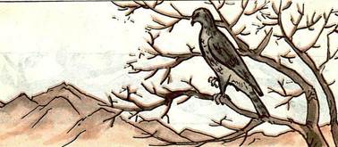 Сокол в курятнике