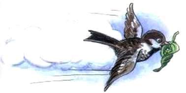 Урок дружбы. Михаил Пляцковский