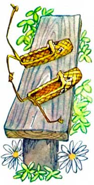 Лапти. - Сергей Баруздин