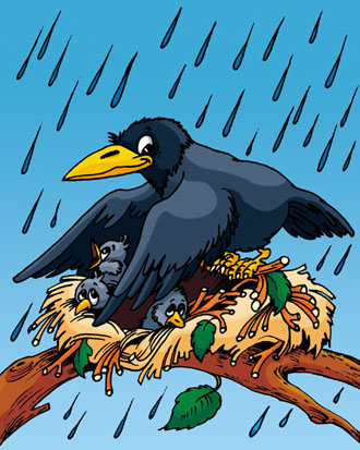 Ворон и воронята