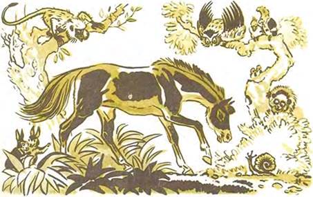 Сказки народов Бирмы. Хитрая улитка