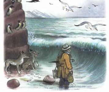 Айболит. Но вот перед ними море