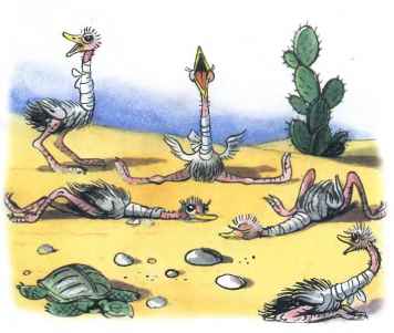 Айболит. Ах, жалко, жалко, жалко Бедных страусят!