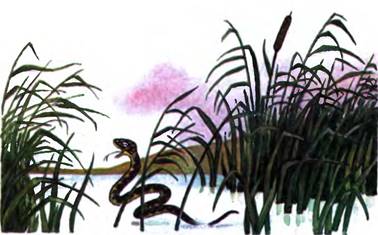 Охотник и змея. Удмуртская сказка