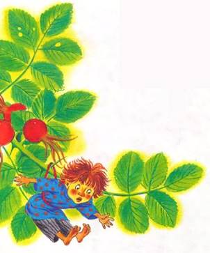 Каплюшин грех - А. Федоров-Давыдов