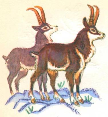 Латышская сказка. Белый олень