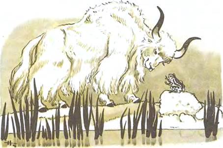 Тибетская сказка. Жаба на небе