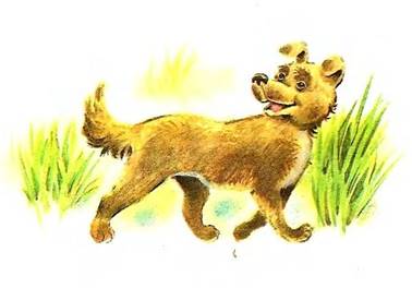 Веселый турист. Михалков С.В.