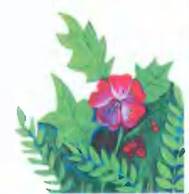 Бабочка - Елена Михаленко