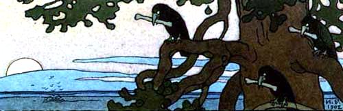 Белая уточка