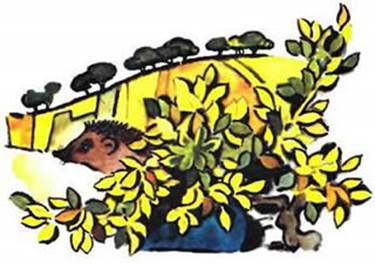 Сказка братьев Гримм. Заяц и Ёж