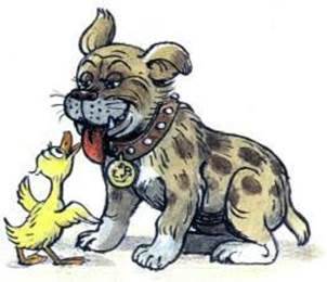 Сердитый Дог Буль