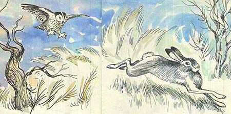 Сова и заяц