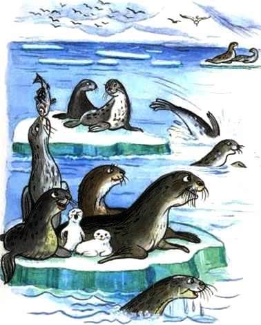 Тюлентяй. Михаил Пляцковский