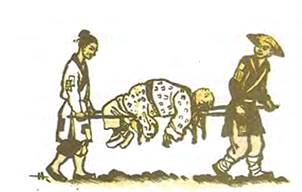 Цзун — длинный день