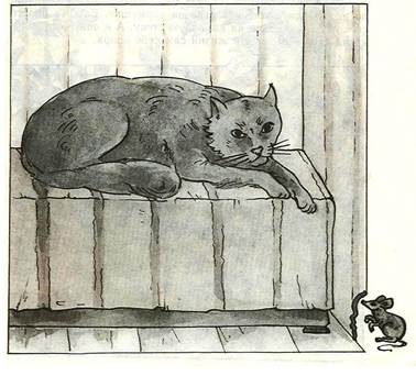 Хитрая кошка и умная мышь