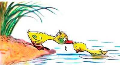 Вытащил Утёнок Цыплёнка