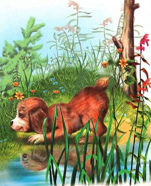 Первая охота. Лесные сказки и рассказы. Виталий Бианки