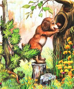 Первая охота. Лесные сказки и рассказы. Виталий Бианки