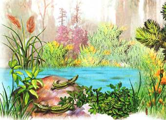 Первая охота. Лесные сказки и рассказы. Виталий Бианки