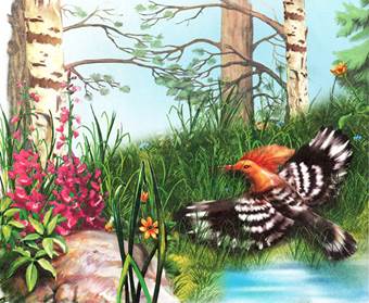 Первая охота. Лесные сказки и рассказы. Виталий Бианки