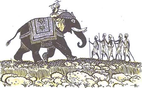 Хитрый шакал