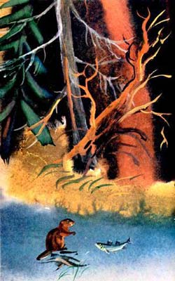 Эвенкийская сказка. Бобровая речка