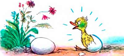 Вылупился из яйца Утёнок.