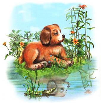 Первая охота. Лесные сказки и рассказы. Виталий Бианки