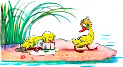 Я иду ещё купаться,— сказал Утёнок. А я — нет,— сказал Цыплёнок.
