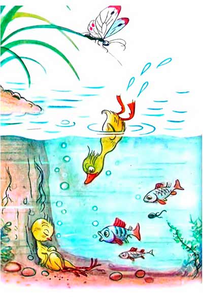 Цыпленок и утенок