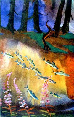 Бобровая речка