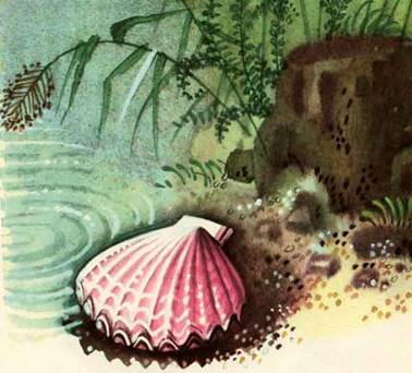 Китайская сказка. Фея из ракушки