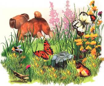 Первая охота