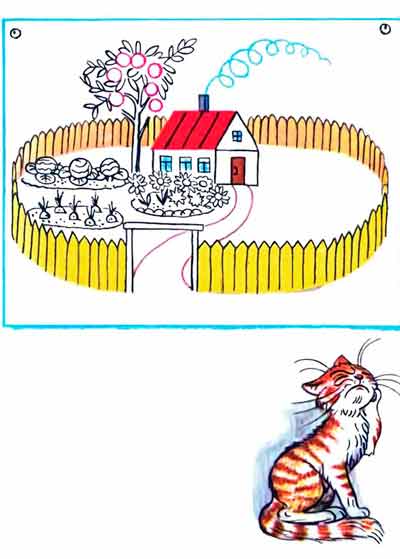 Вот тебе клумба с цветами