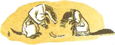 Как барсук и куница судились