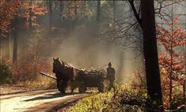 Русская народная сказка. Мудрая девица и семь разбойников