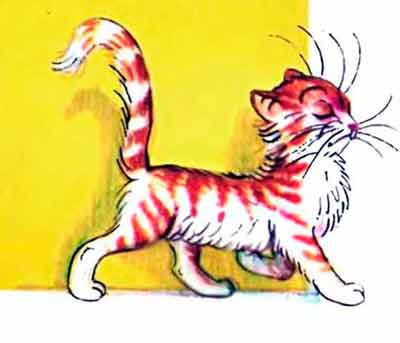 Вот какая капризная Кошка!