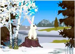 Снег и заяц.