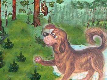 Восьминогая собака.