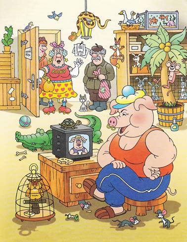 Фунтик и пират. Валерий Шульжик