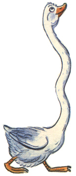 Это что за птица? - В.Сутеев